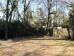 Natural bamboo and privacy fence in backyard