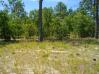 316 Smilax Lane Wilmington Home Listings - Jennifer Farmer Real Estate